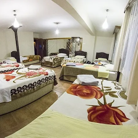 Atillas Getaway מלון